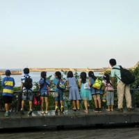 楊念祖/學校在窗外—光點教育文創