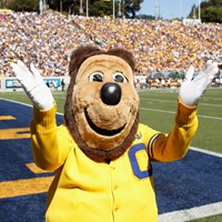 Oski