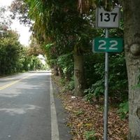 緊臨美美の彰137縣道