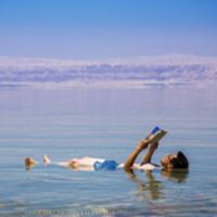 翼賢 ( Louis Liu )