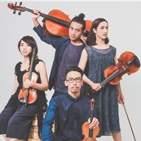 玩弦四度interestring quartet