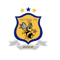 黃蜂足球俱樂部