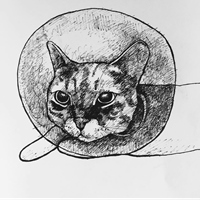 宋先生 ソン サン