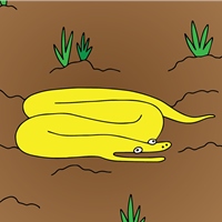 The Banana Fish