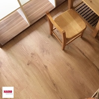 漢諾木地板講師