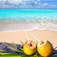 The hidden face of Haiti 前所未見的海地