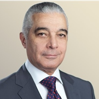 Abdelhamid Mamdouh (Hamid)