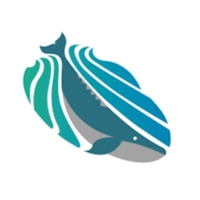 灰鯨設計有限公司