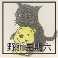 野貓星期六 AlleyCat Saturday