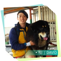 柳鍾偉 David