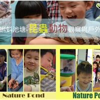蝌蚪池塘自然團隊
