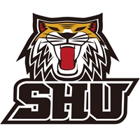 世新大學男子籃球隊