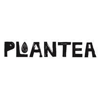 植茶