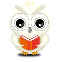 Lapi 拉比 –長耳鴞