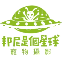 邦尼是個星球寵物攝影