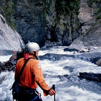 黃柏樺（肥鳥）