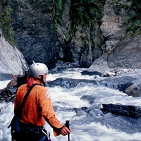 黃柏樺（肥鳥）