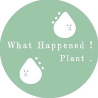 滑栽whathappened.5