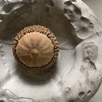 Sparkle 創熠工作室