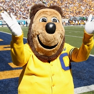 Oski