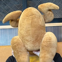 鄺泰然（出席映後）