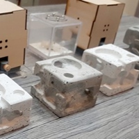 E21|寵物箱的螞蟻生態