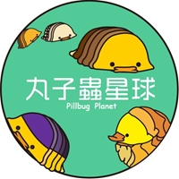 會行走的樹枝-竹節蟲