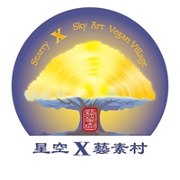 星空藝素村