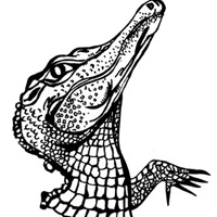 Ching 4 illustrations 丹青插畫工作室