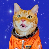 宇宙猫咪 Paw Booom