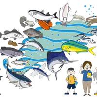 宋怡靜、張虹、陳雯君