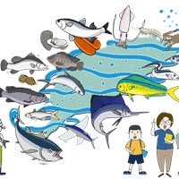 張簡琦麗、陳筱芷、陳玉樹