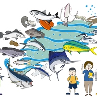 王美琇、鄭雅萍、林慧清、陳淑英