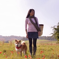 陳芓亮 (liang chen)