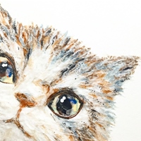 南國的孩子 Susan