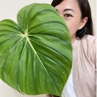 王姿琇