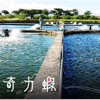 利澤水產養殖生態農場