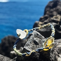 The odd fish _重生