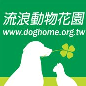 流浪動物花園