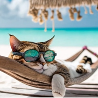 王建盛 Jason Wang