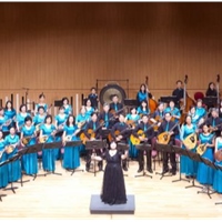 奇美曼陀林樂團A團