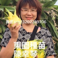 陳幸琴