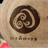 紅土森林小宇宙 