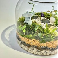 綠植工作室 Chloroplastida.