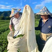 老馮（馮崇宇）