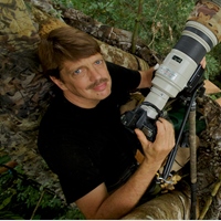 Tim Laman 提姆．雷曼