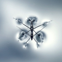 林名璟 /小名老師