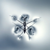 林名璟 /小名老師