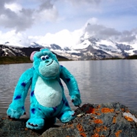 Bigtree Lee 李大樹