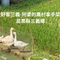 苗栗縣三義鄉-苗栗縣三義鄉雙潭農業文旅產業發展協會、山板樵休閒農場、春田窯休閒農場、雲洞山莊